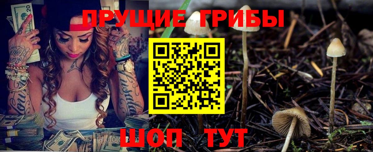 Дедовск  Галлюциногенные грибы Psilocybine cubensis  купить закладку  Вход с VPN  Псилоцибиновые грибы MAGIC MUSHROOMS 